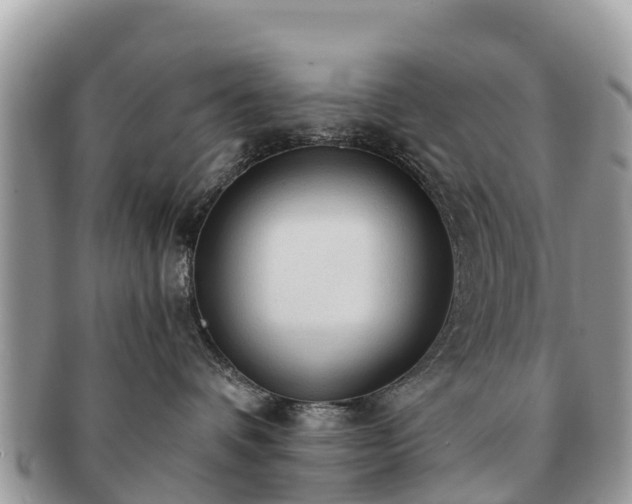 X0000091180336200708161523