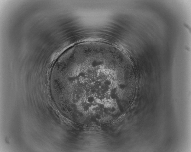 X0000091180337200708161522