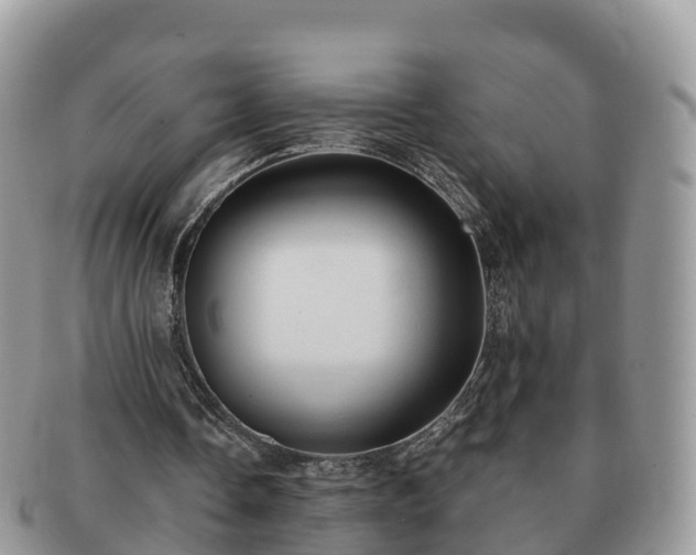 X0000091180338200708161522
