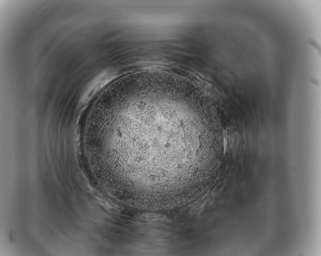 X0000091180339200708161522