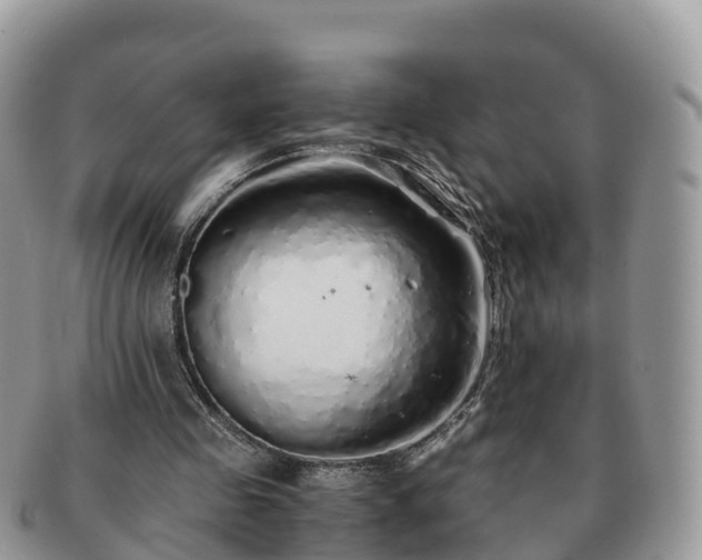 X0000091180341200708161522