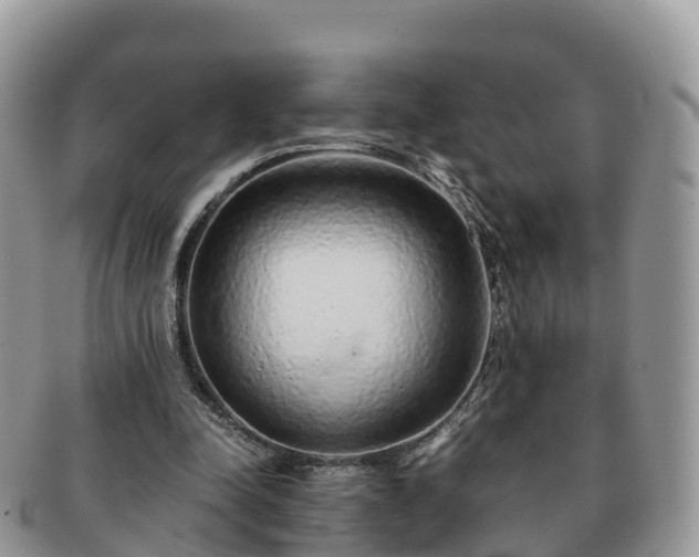 X0000091180342200708161522