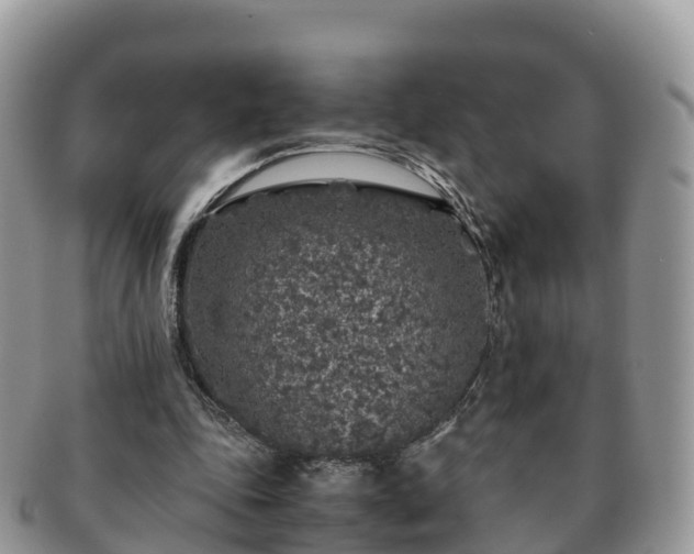 X0000091180343200708161522