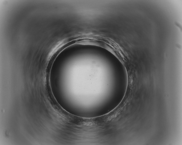 X0000091180344200708161522