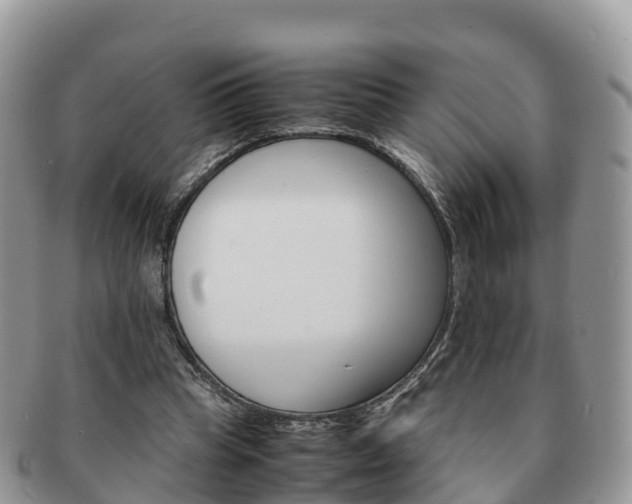 X0000091180345200708161522