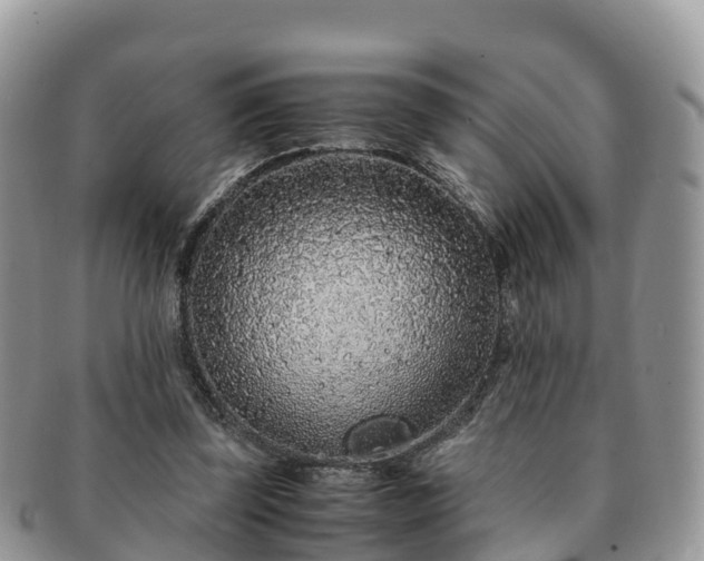 X0000091180347200708161522