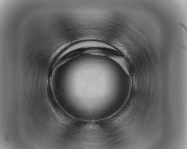 X0000091180348200708161522