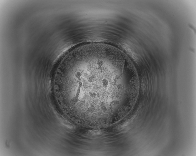 X0000091180351200708161522