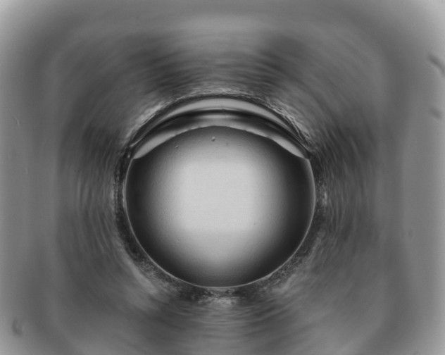 X0000091180352200708161522