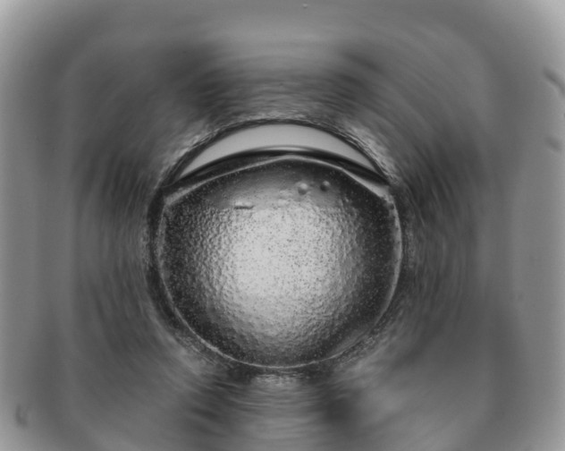 X0000091180354200708161522