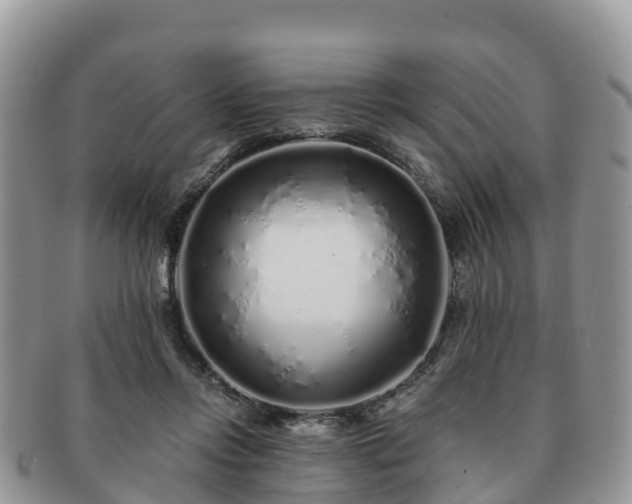 X0000091180358200708161522