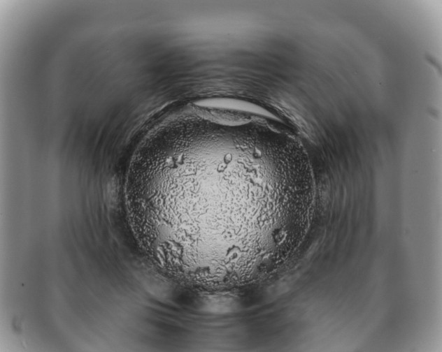 X0000091180359200708161522