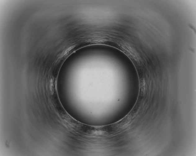 X0000091180360200708161522