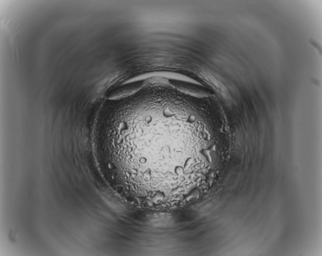 X0000091180361200708161522
