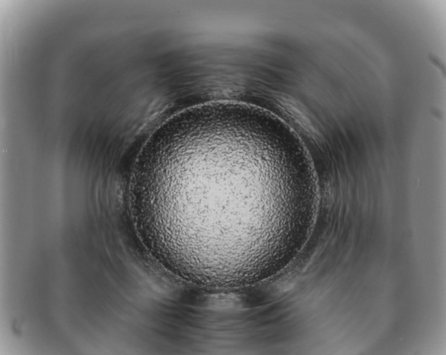 X0000091180363200708161522