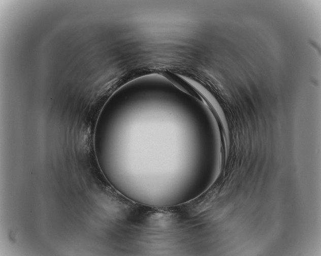 X0000091180364200708161522