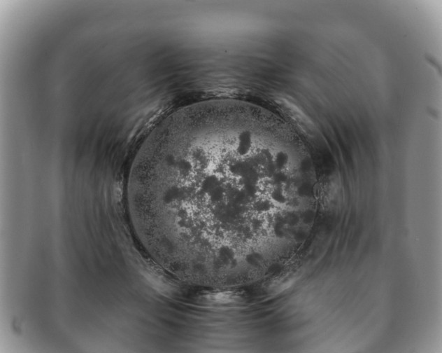 X0000091180365200708161522