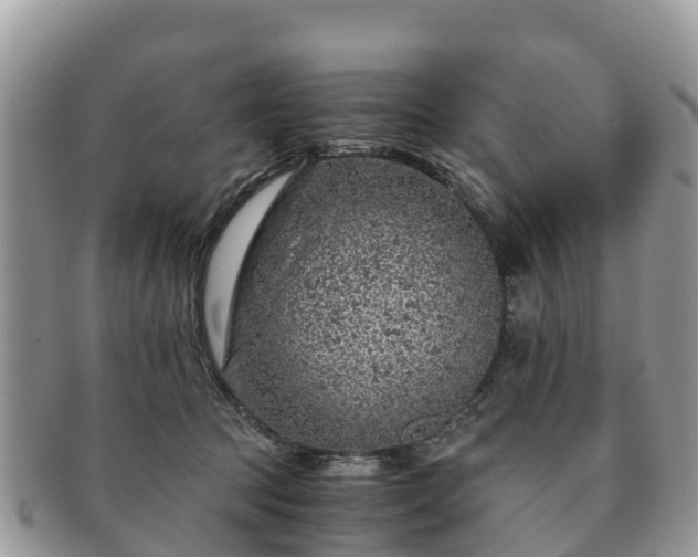 X0000091180369200708161522