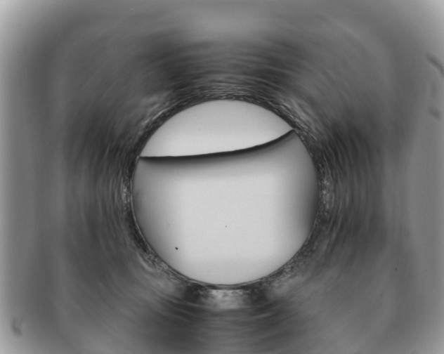 X0000091180371200708161522