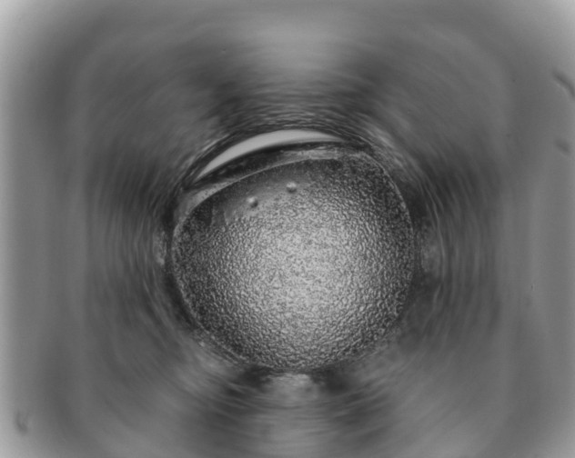 X0000091180374200708161522