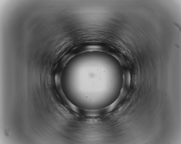 X0000091180376200708161522