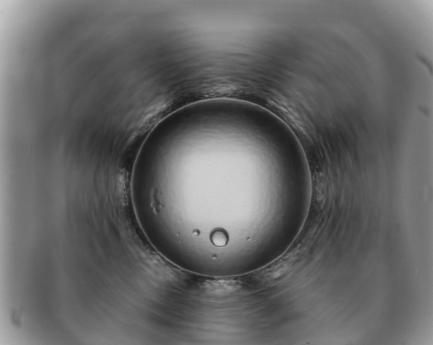 X0000091180378200708161522
