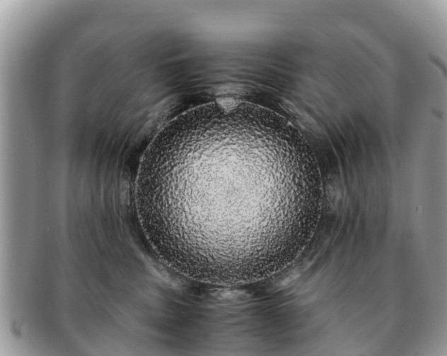 X0000091180379200708161523