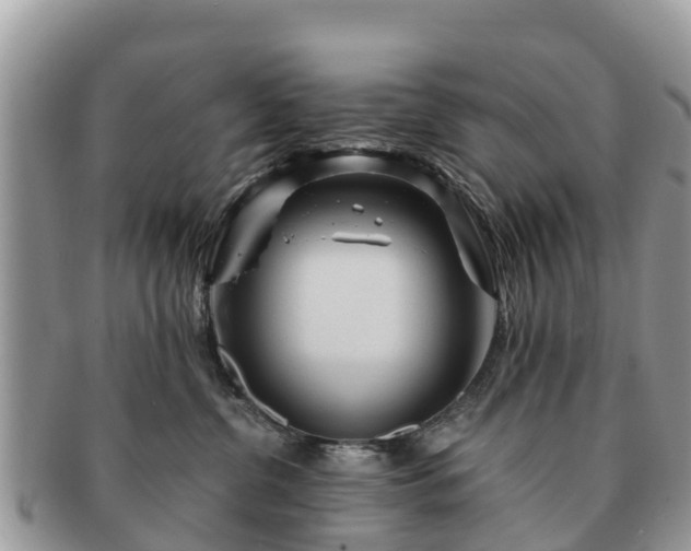 X0000091180380200708161523