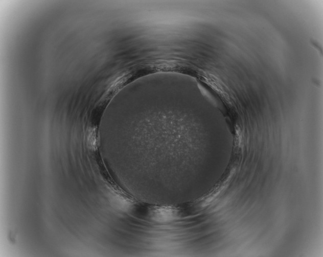 X0000091180383200708161523