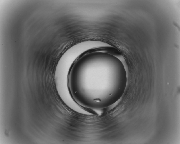 X0000091180384200708161523