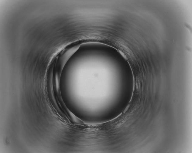 X0000091180388200708161522