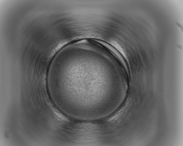 X0000091180389200708161522