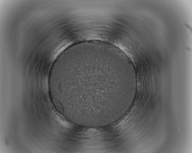 X0000091180390200708161522