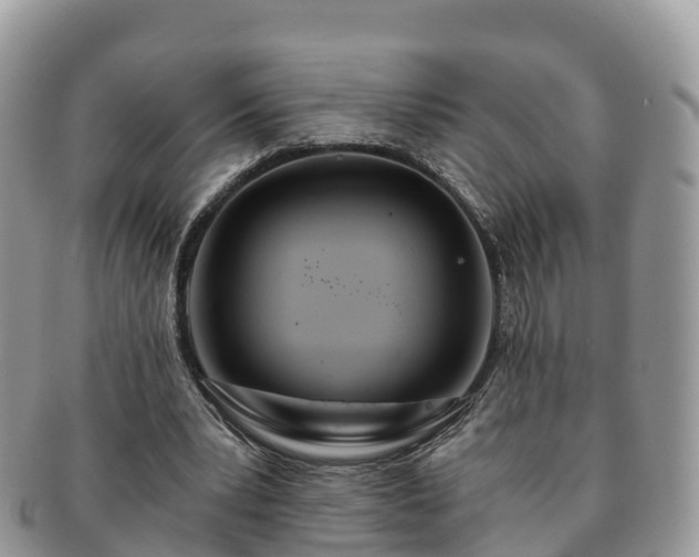X0000091180391200708161522