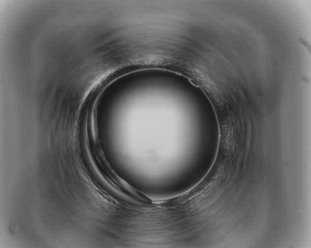 X0000091180392200708161522