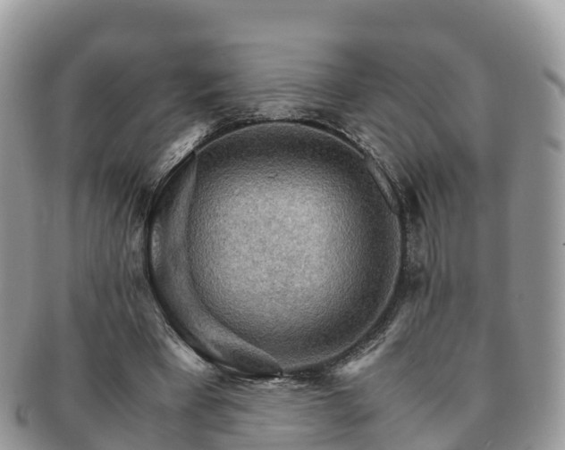 X0000091180393200708161522
