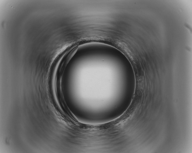 X0000091180395200708161522
