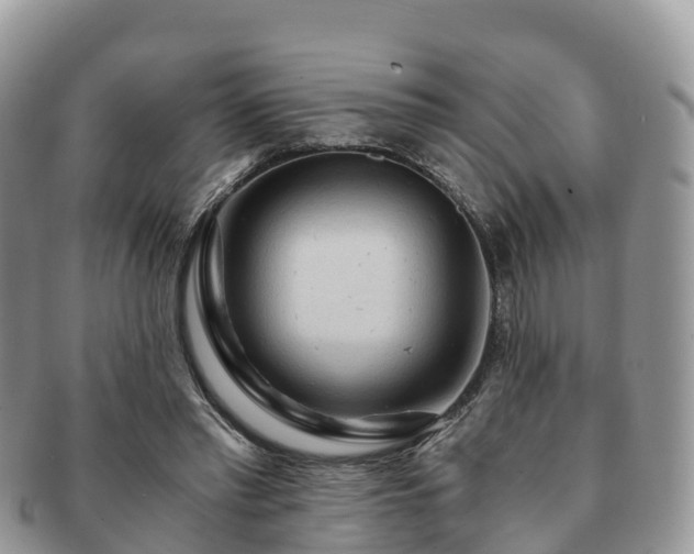 X0000091180397200708161522