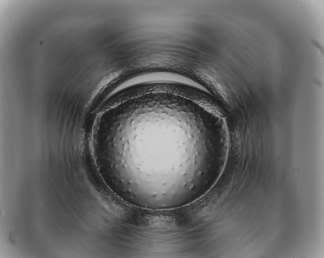 X0000091180400200708161522