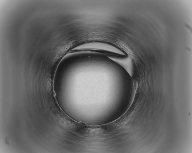 X0000091180401200708161522