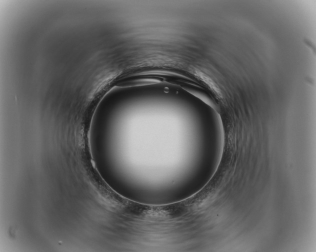 X0000091180403200708161522