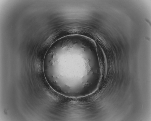 X0000091180408200708161522
