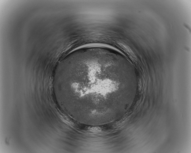 X0000091180409200708161522