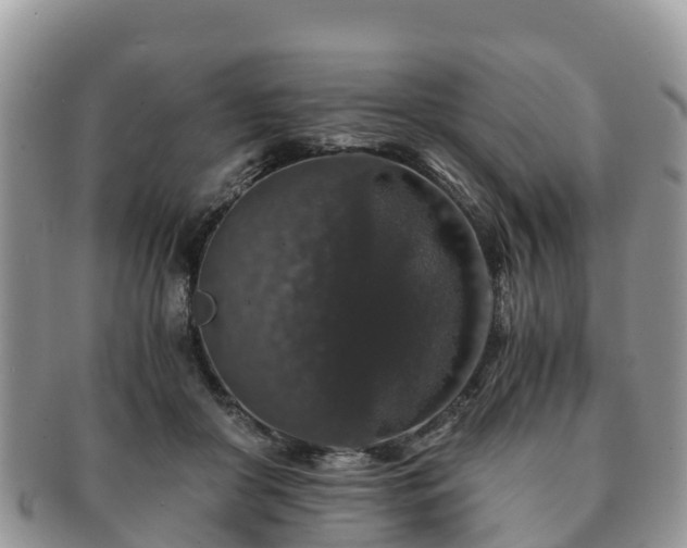 X0000091180410200708161522