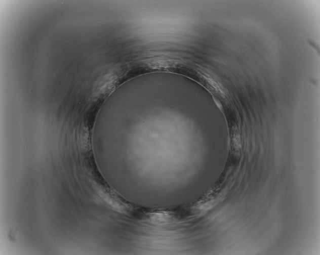 X0000091180411200708161522