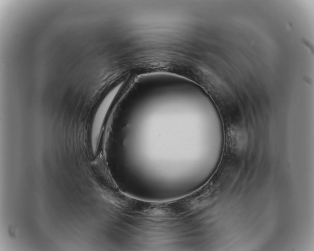 X0000091180412200708161521