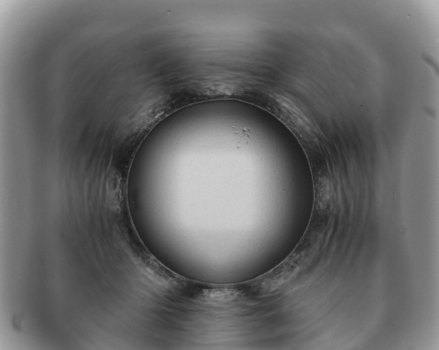 X0000091180414200708161521