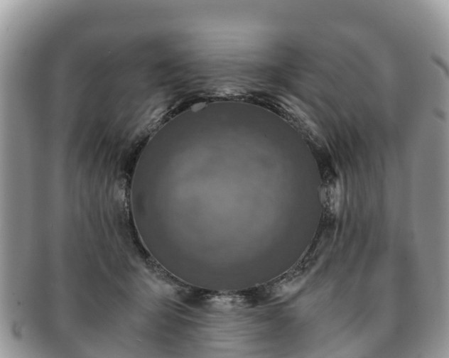 X0000091180415200708161521