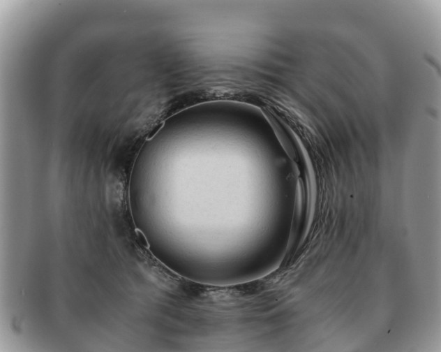 X0000091180417200708161521