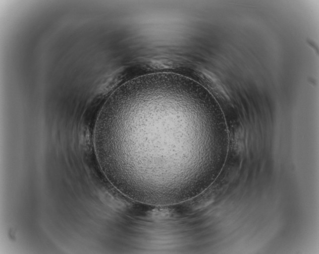 X0000091180418200708161521